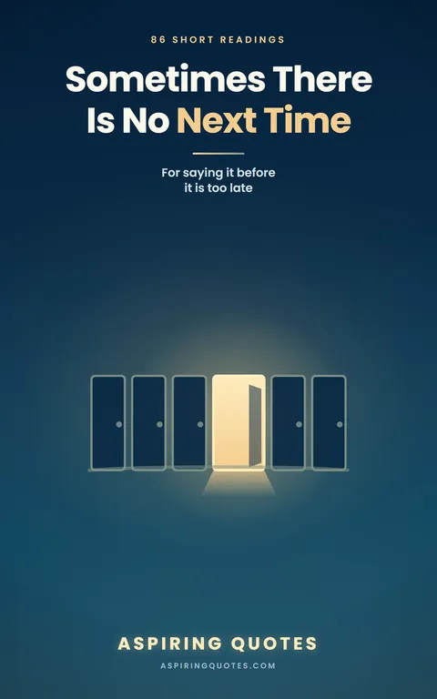 Cover of Sometimes There Is No Next Time
