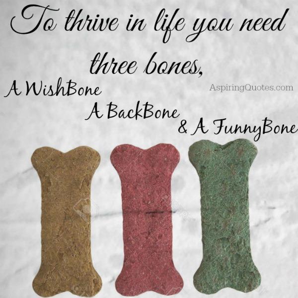 To thrive in life, you need 3 bones